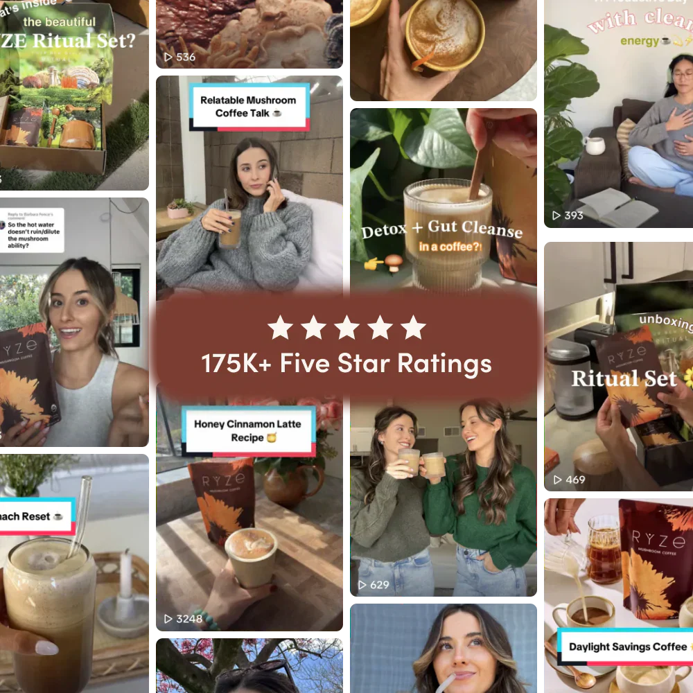 Dark Roast Starter Kit - Choice 404