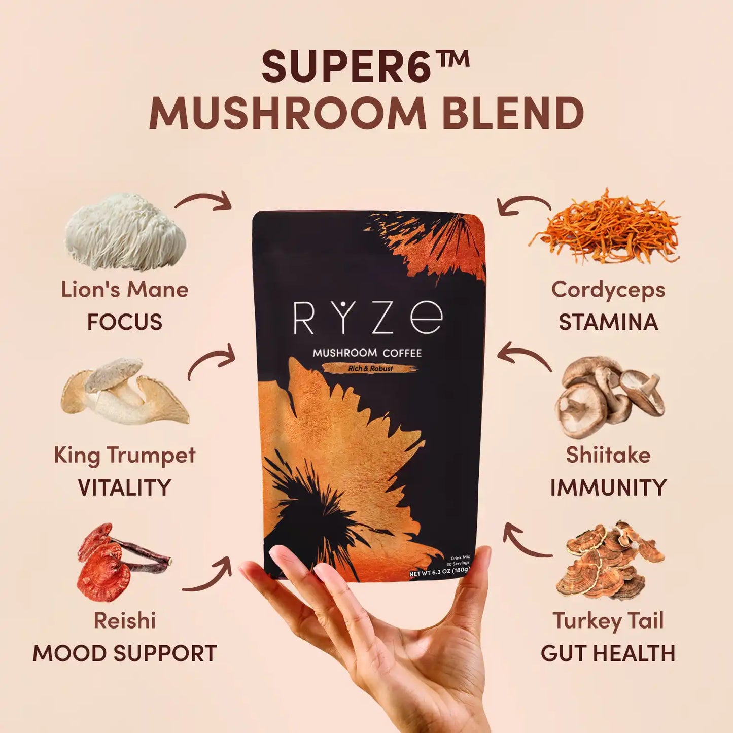 Dark Roast Starter Kit - Choice 404