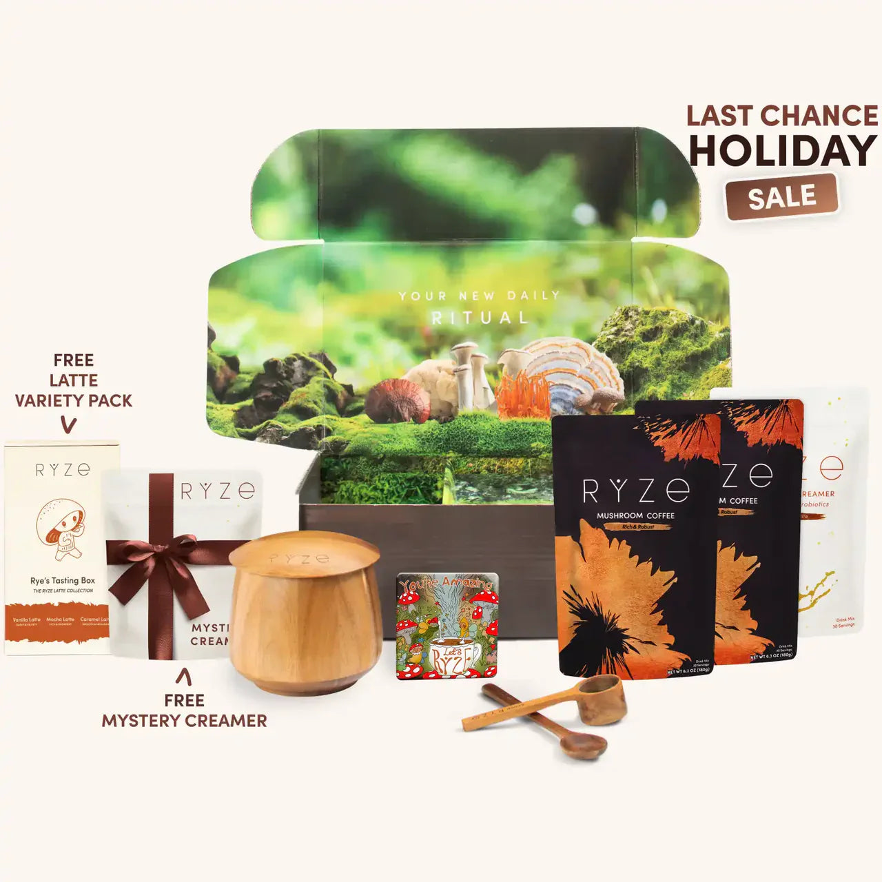 Mushroom Coffee - Choice 781