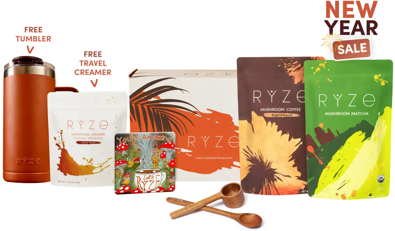 All Day Energy - Choice 526