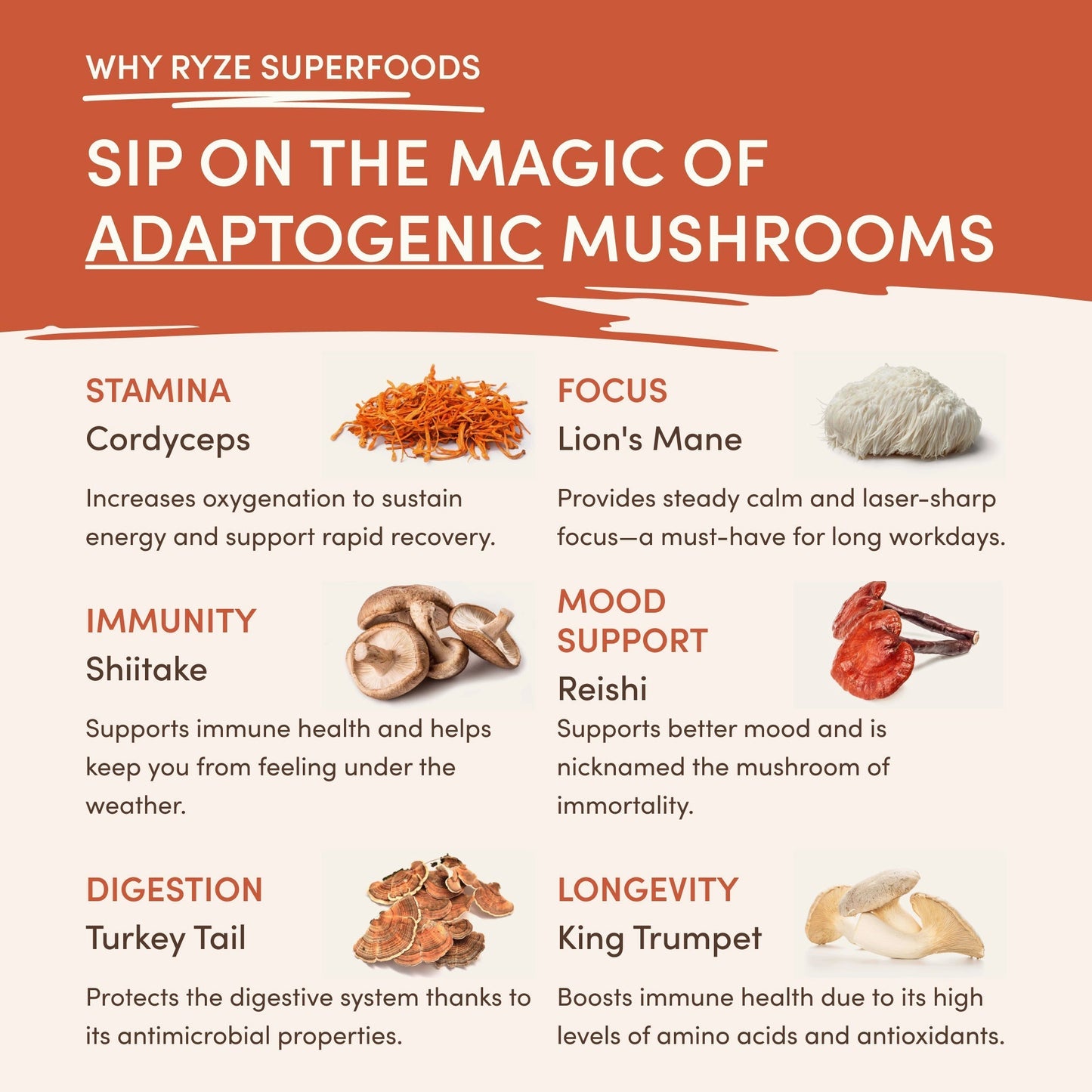 Superfood Creamer - Choice 395