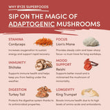Mushroom Chai - Choice 871